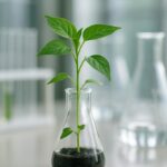 Bioinżynieria i technologia roślin