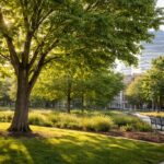 Dlaczego drzewa w miastach rosną szybciej, ale żyją krócej