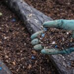 Mikroplastik w glebie ogrodowej – skąd się bierze i jak ograniczyć jego ilość